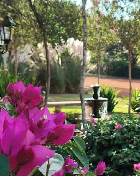 consultoria e nutrição para jardins