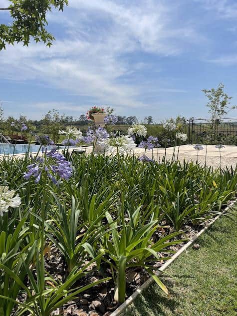 consultoria para jardins