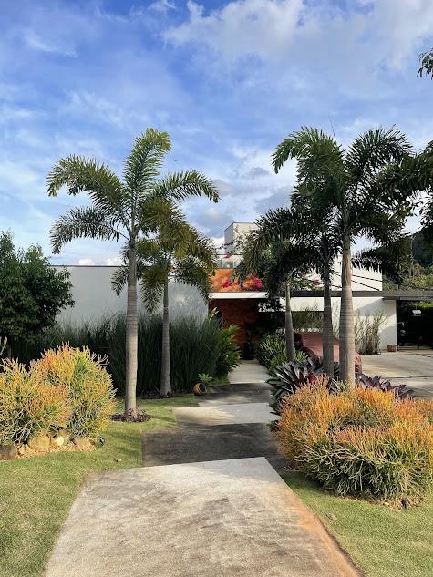 consultoria para jardins