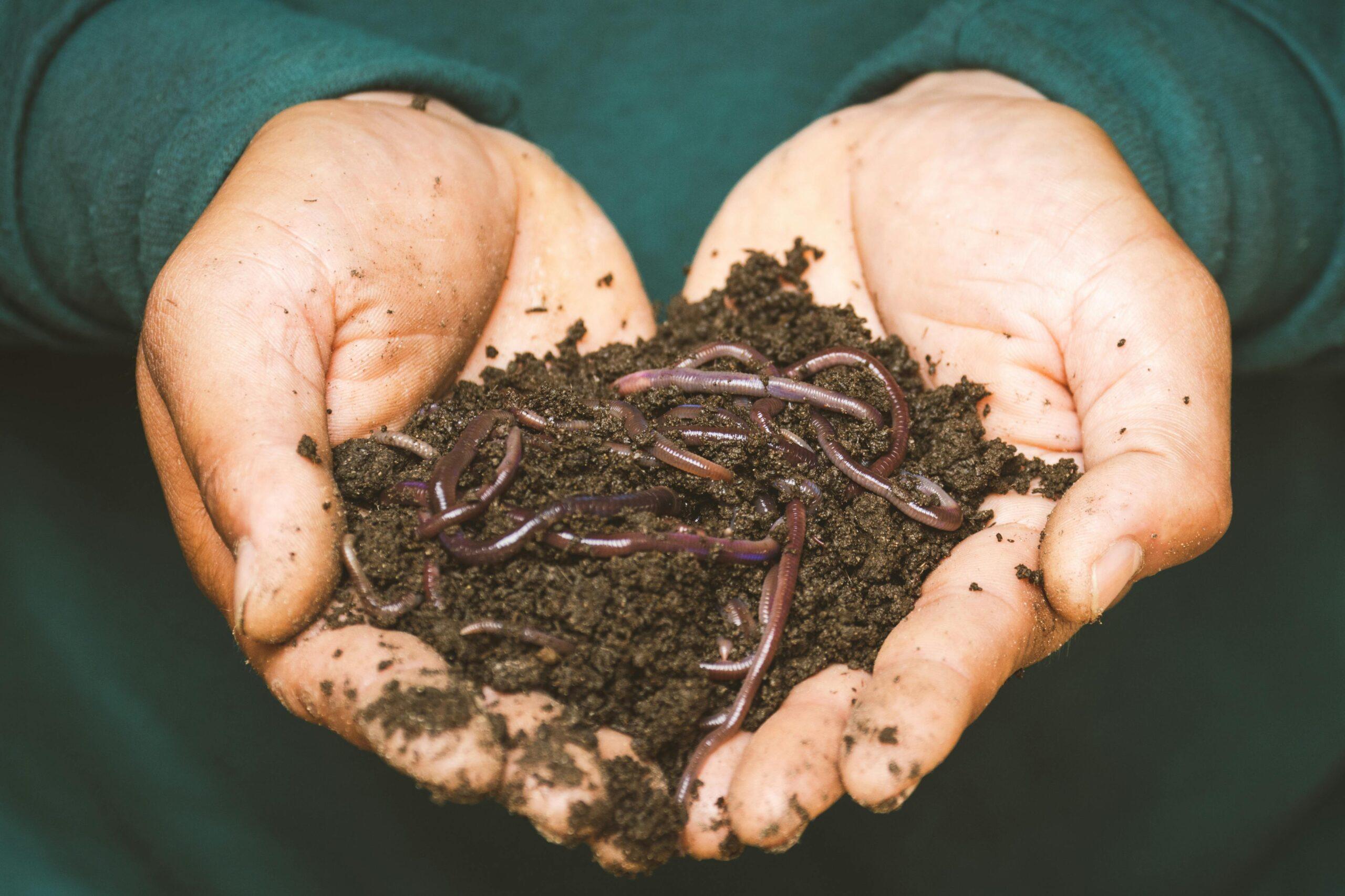 Compostagem em condomínios: como transformar resíduos verdes em solo vivo e sustentável