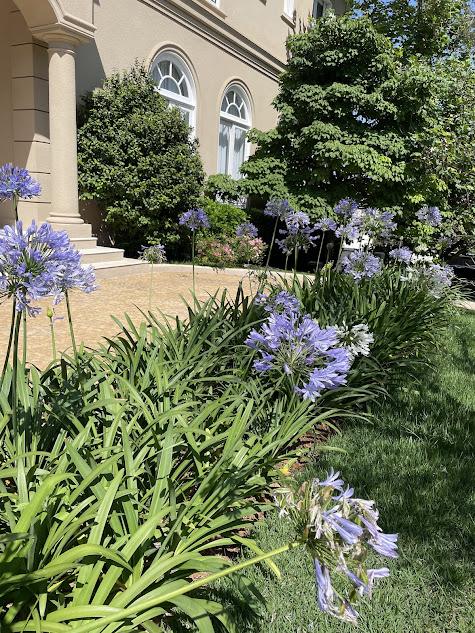 consultoria para jardins