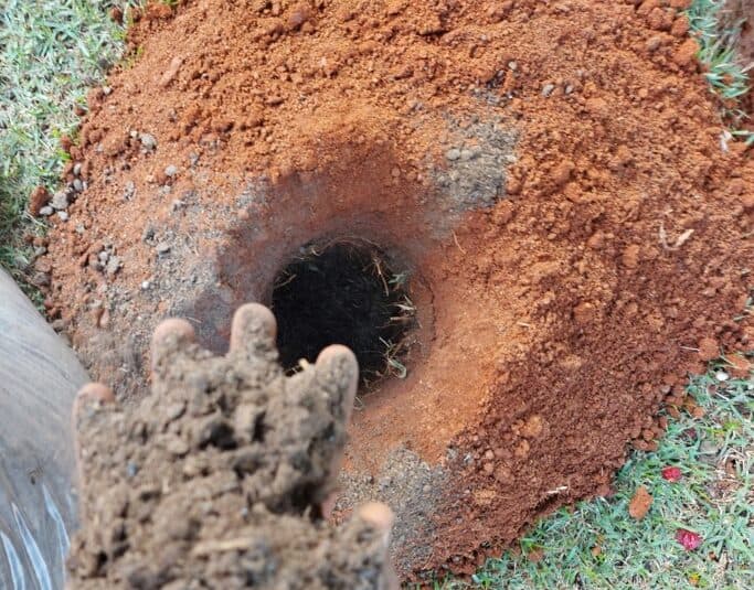 Mulching Vertical: Solução profunda para solos compactados e jardins debilitados