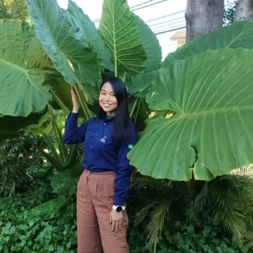 7fc29500-b798-4746-a4e0-ddbf3d533393